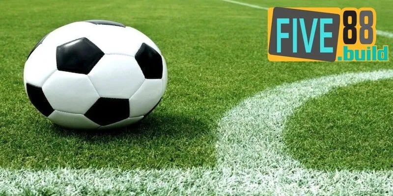 Cách soi kèo Five88 hiệu quả đơn giản cho newbie