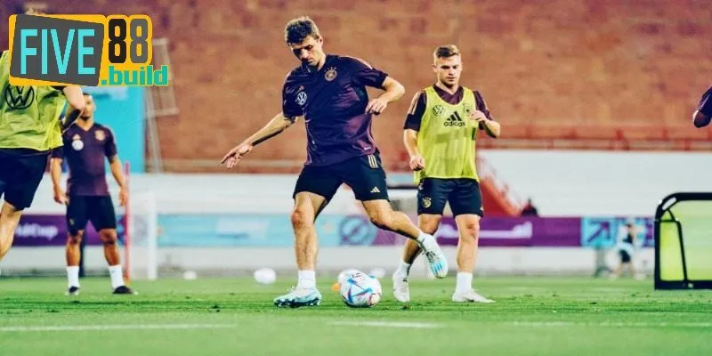 Tổng hợp một số tỷ lệ kèo châu Á xanh chín